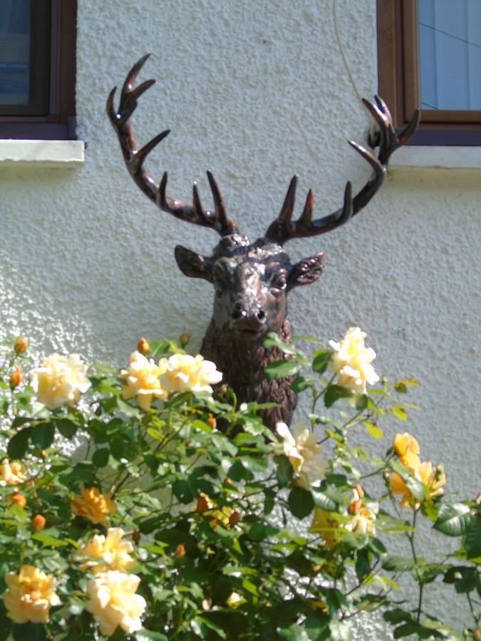 Craik Na Dav B&B Invermoriston Eksteriør bilde